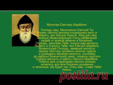 Это видео поможет многим! Алексей Тришма и святой Шарбель дарят Вам сеанс исцеления!