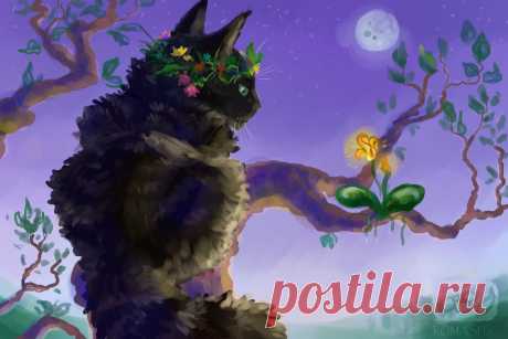 Cat Sorrel.Trade by Romashik-arts on DeviantArt