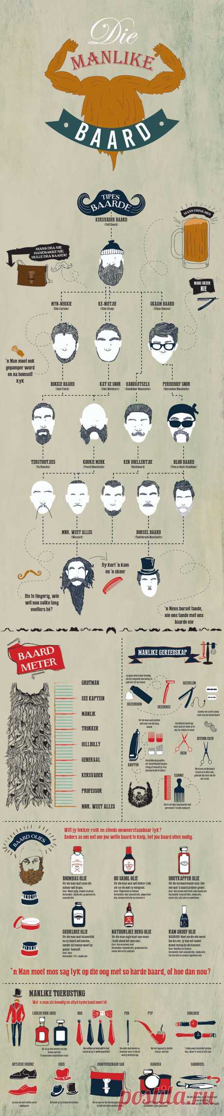 Beard Infographic - "Die Manlike Baard" on Behance