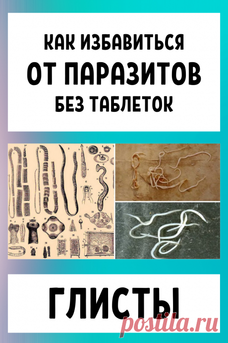 Глисты: Как избавиться от паразитов без таблеток