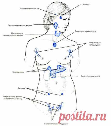 Почему тяжело лечатся эндокринные заболевания