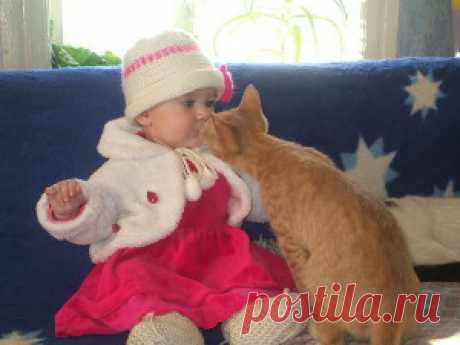 Любимая кошка | Мир Женщины///Кошка полюбит вас,если вы этого захотите.Она умеет быть привязчивой,понятливой и нежной.