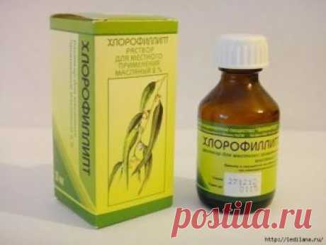 Хлорофиллипт - Естественный антибиотик