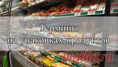 Скучающий ленивец — это что-то интересное