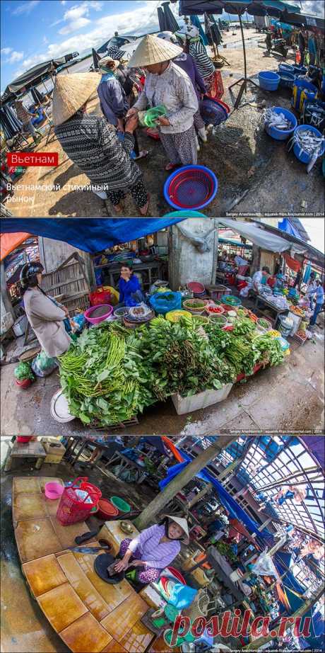 Стихийные рынки Вьетнама