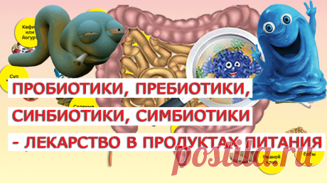 Пробиотики входят в состав различных пищевых продуктов, а также в лекарственные препараты и пищевые добавки. Они служат для восстановления кишечной микрофлоры и некоторых других функций. Количество бактерий в разных пробиотиках значительно варьирует в зависимости от рода, вида и штамма микроорганизмов, так как их влияние на организм человека не одинаково. Дозировки пробиотиков рассчитываются в колониеобразующих единицах (КОЕ). У людей с разными группами крови преобладают разные типы бактерий.