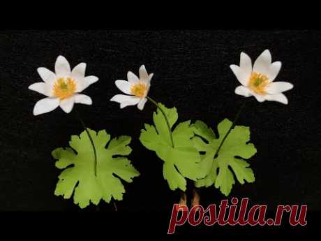 ABC TV | How To Make Bloodroot Paper Flower (Slowly) - Craft Tutorial