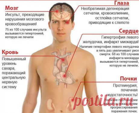 Что разжижает кровь: какие препараты и продукты принимать для разжижения крови