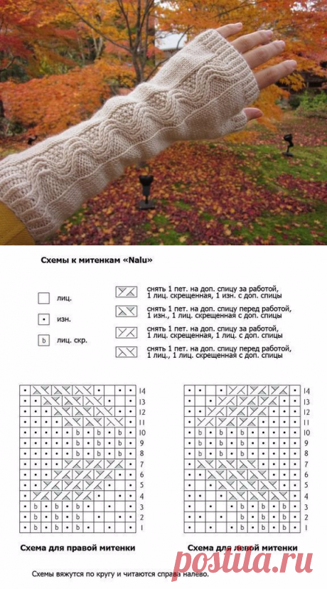 Вяжем митенки (Вязание спицами) | Журнал Вдохновение Рукодельницы