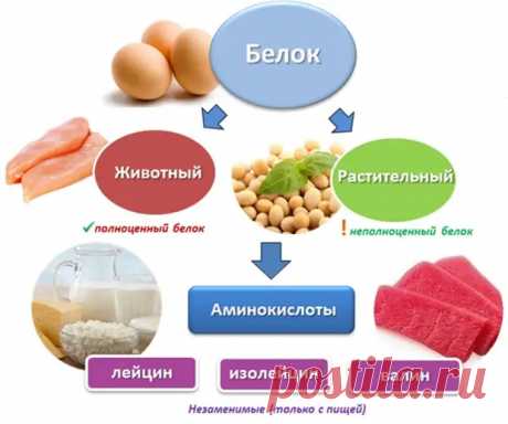 Продукты, богатые белком – список в таблице с указанием содержания - МедРу - 18 апреля - 43636137484 - Медиаплатформа МирТесен