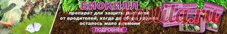 Пятна на листьях огурцов – из-за чего появляются, что делать и чем лечить | Огурцы (Огород.ru)