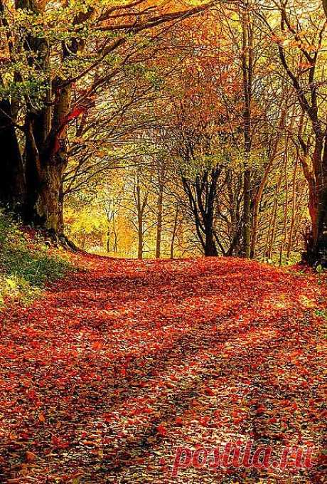 So Pretty | Autumn Splendor
