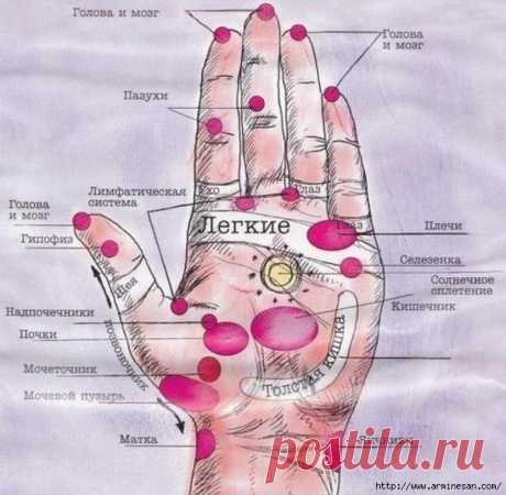 АКУПУНКТУРА,МУДРЫ,ЦИГУН | Записи в рубрике АКУПУНКТУРА,МУДРЫ,ЦИГУН | www.arminesan.com