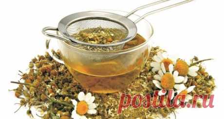 20 травяных чаев для укрепления здоровья: составы, рецепты, советы по применению | Полезно (Огород.ru)