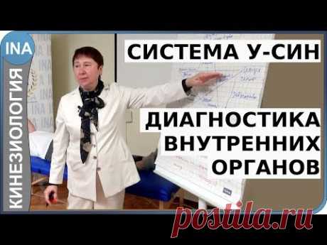 У-СИН. Диагностика внутренних органов. Прикладная кинезиология. Проф. Л.Ф.Васильева