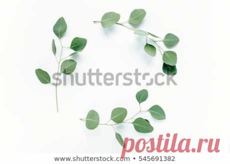 Стоковая фотография «Round Frame Pink Flower Buds Branches» (изменить), 545691382: Shutterstock