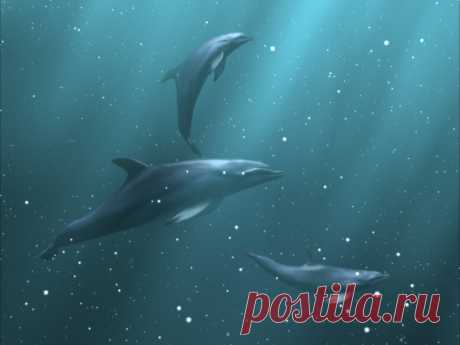 Три дельфина на глубине,  красивые обои для рабочего стола из каталога 3D-графика бесплатно