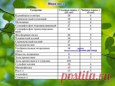 ТОП-10 ЕМКОСТЕЙ ДЛЯ РАССАДЫ