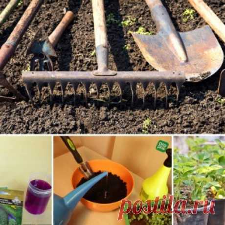 Раствор марганцовки: как применять в саду и огороде и чем его заменить