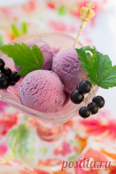 Мороженое с черной смородиной - пошаговый рецепт с фото на Готовим дома