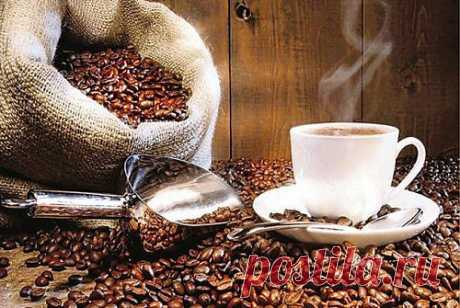 Кофе положительно влияет на кровеносные сосуды » MEDIKFORUM.RU