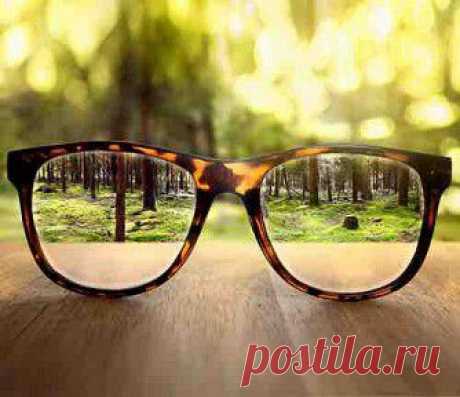 6 продуктов, которые помогут сохранить зрение — Рамблер-Новости