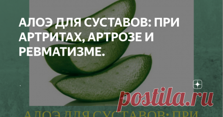 АЛОЭ ДЛЯ СУСТАВОВ: ПРИ АРТРИТАХ, АРТРОЗЕ И РЕВМАТИЗМЕ. Комнатное растение под названием алоэ обычно выращивают не ради красоты, а ради его непревзойденных целебных средств – не зря его почтительно величают «зеленым доктором». Практика применения алоэ для суставов существует давно. И в ее эффективности уже убедились тысячи людей. Однако официальная медицина, признавая многие достоинства этого лекарственного растения, к идее лечения больных суставов