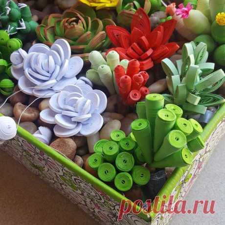 Paper Quilling Succulent Garden : 10 Steps (with Pictures)