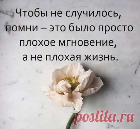 красивые картинки про жизнь со смыслом и надписями — Яндекс: нашлось 9 млн результатов