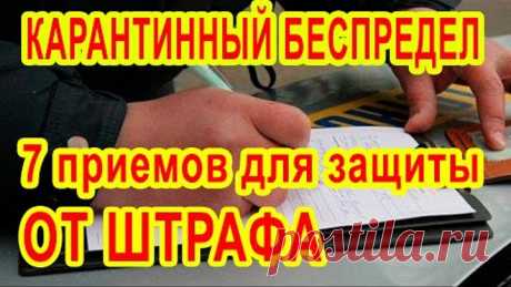 Если Вас хотят оштрафовать за нарушение карантина Подробная инструкция адвоката Письменное пояснение