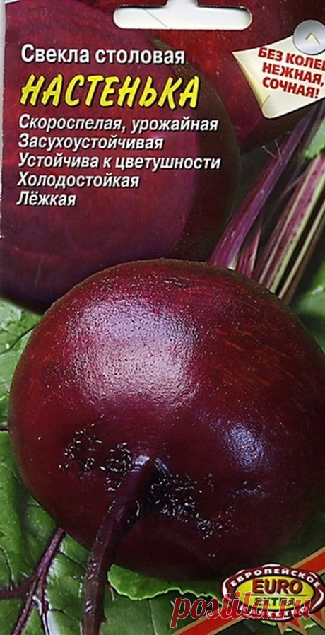 5 сортов столовой свеклы которые не надо раздергивать. Вкусная, сладкая, устойчивая и долгохранящаяся. Сорта специально для дач | Сад, огород, наука и ... лень | Яндекс Дзен