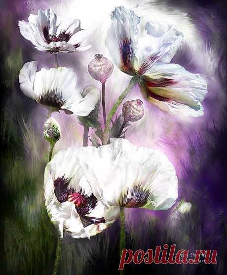 Poppy Dreams Mixed Media by Carol Cavalaris - Poppy Dreams Fine Art Prints and Posters for Sale