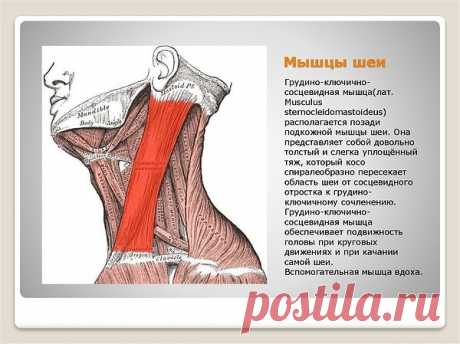 (ПЫЛЬ)Любовь64ур.: Чародеи дорогие,если вы ежедневно посылаете посылки,придется с вами расстаться((((