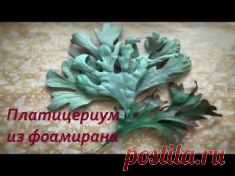 Веточки зелени из фоамирана. Платицериум (папоротник Олений рог)
