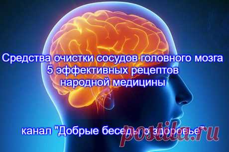 Эликсиры для сосудов, суставов и кожи. Профилактика и лечение методами народной медицины. 

Ухудшение памяти, шум в ушах, головные боли, повышенное давление и хроническая усталость, изменения в состоянии кожного покрова, появление болей в суставах, появление озноба в теле... — всё это тревожные звоночки, которые посылает мозг, требуя провести очистку сосудов и предотвратить развитие атеросклероза.