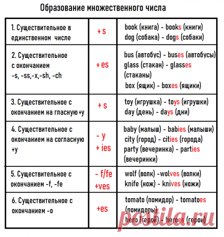 Английские существительные множественного числа