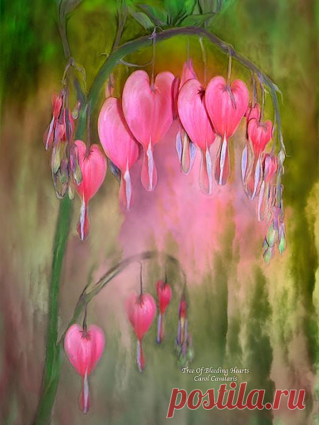 Tree Of Bleeding Hearts Mixed Media by Carol Cavalaris - Tree Of Bleeding Hearts Fine Art Prints and Posters for Sale