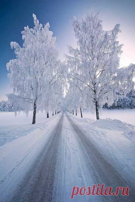 ✯ Snow Path  |  Pinterest • Всемирный каталог идей