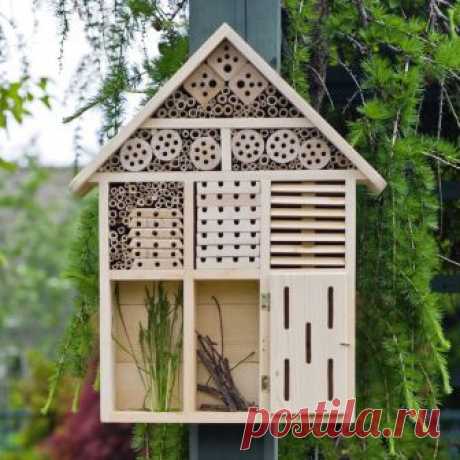 Attracts beneficial pollinating butterflies and solitary bees to your garden, pest controlling ladybugs and lacewings to your yard, and nesting birds to your trees.