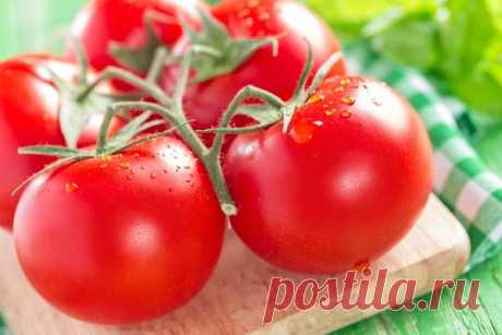7 маленьких секретов выращивания вкусных помидоров / томаты / 7dach.ru