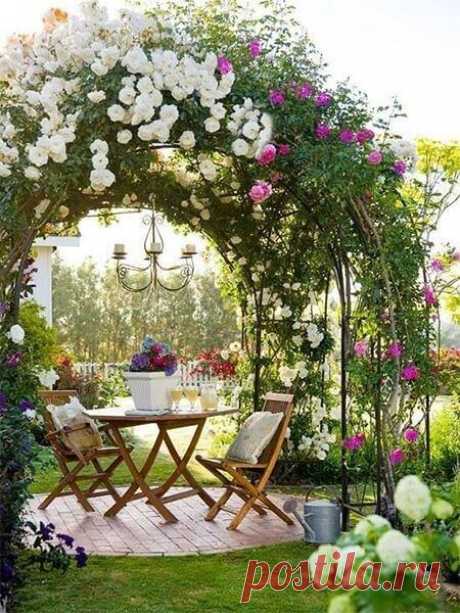 Идеи цветочной арки в саду