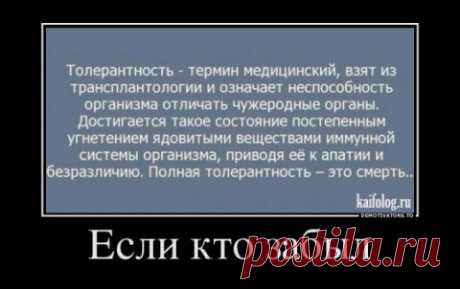 Категорически - нет. Есть своя страна, там пусть и развлекаются как хотят. | Отважная Славянка | Дзен