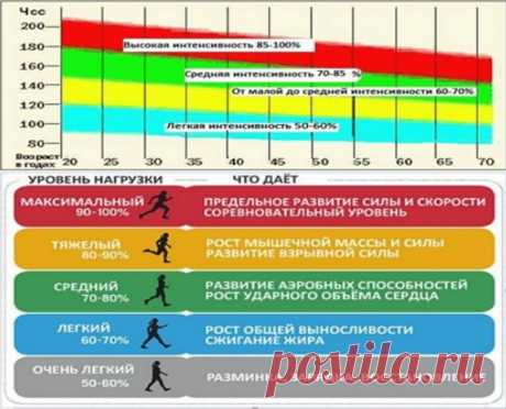Контроль частоты сердцебиения во время тренировки с помощью фитнес браслета: Читать статью на сайте Zozhno.ru