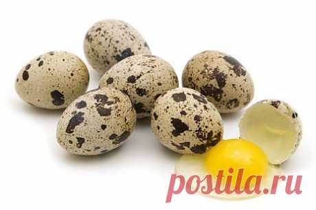 (+1) тема - Перепелиные яйца спасут кожу от старости | ВСЕГДА В ФОРМЕ!