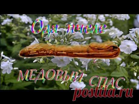 Медовый Спас. Ода Пчеле - YouTube
Медовый Спас православные христиане ежегодно отмечают 14 августа. Это особенный день - после него начинается большой Успенский пост.