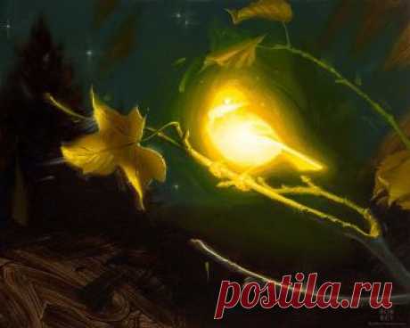Bioluminescence - Hope by robrey on DeviantArt
