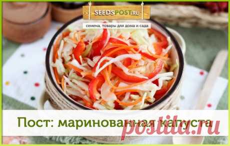 Маринованная капуста быстрого приготовления «Похрусти-ка» 

Вкуснятина нереальная! Обязательно попробуйте этот рецепт.

Ингредиенты:
Показать полностью…