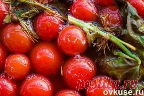 Бочковые помидоры - Простые рецепты Овкусе.ру