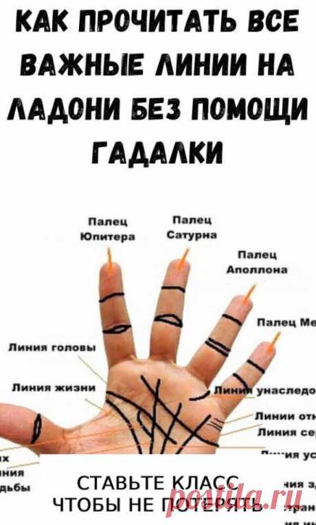 Выберите руку. В хиромантии считается, что: У женщин правая рука показывает...ЧИТАТЬ ПОЛНОСТЬЮ