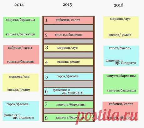 Шпаргалка на лето. Чем и когда удобрять овощи